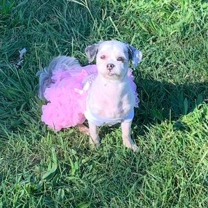 Meet your Posher, Regina